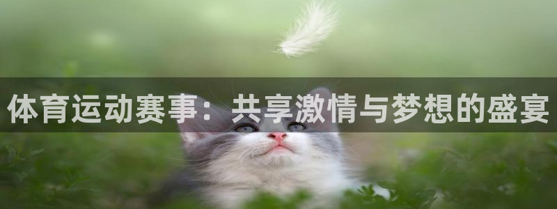 3377体育官方正版app科技:体育运动赛事:共享激情与梦想